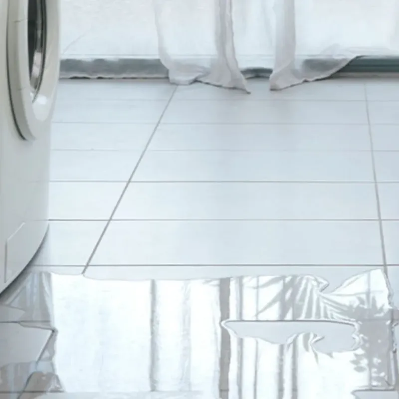 Appliance Leak Cleanup in Langdon, ND