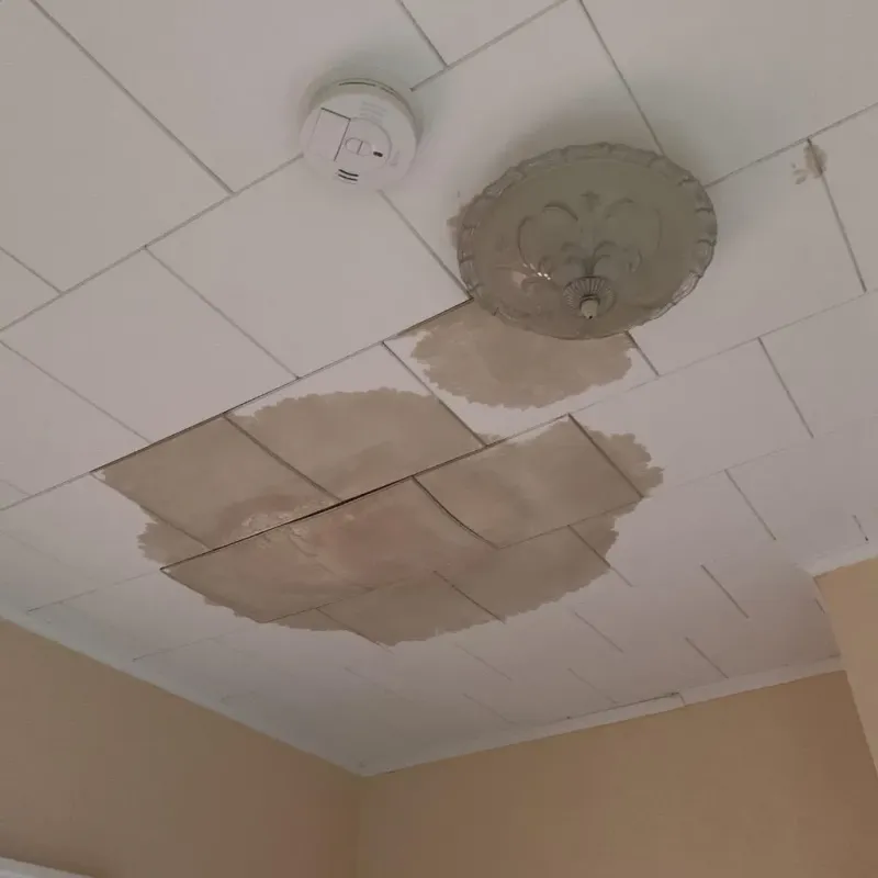 Ceiling Water Damage Repair in Langdon, ND