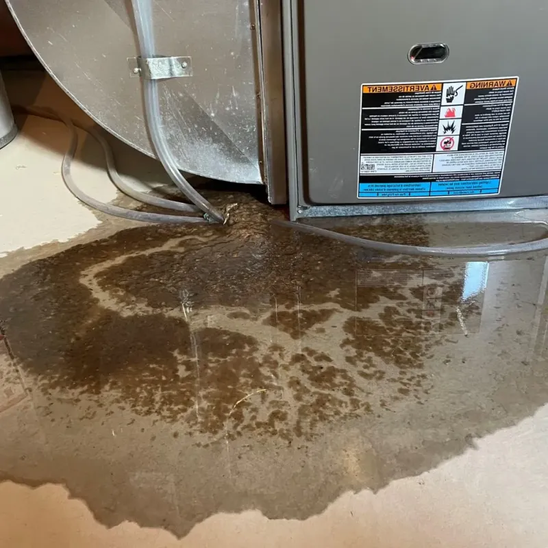 Pipe Burst and Leak Restoration in Langdon, ND